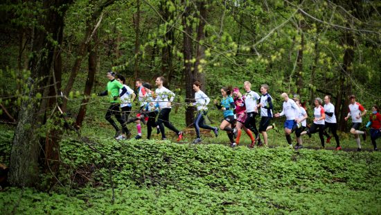 Team Nordic Trail, löpargrupp.